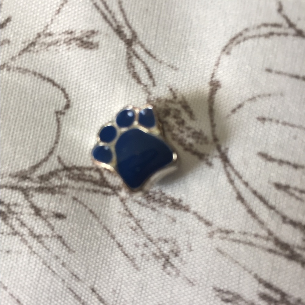 Uconn Huskies charm☘️